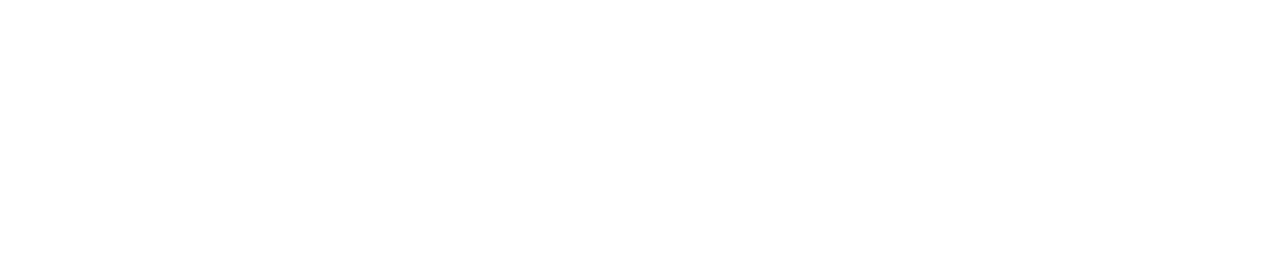 logo bnova colore bianco